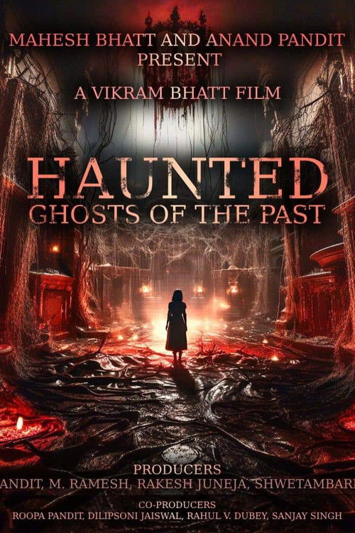 Haunted 3D: Echoes of the Past 2026 film streaming HD VF